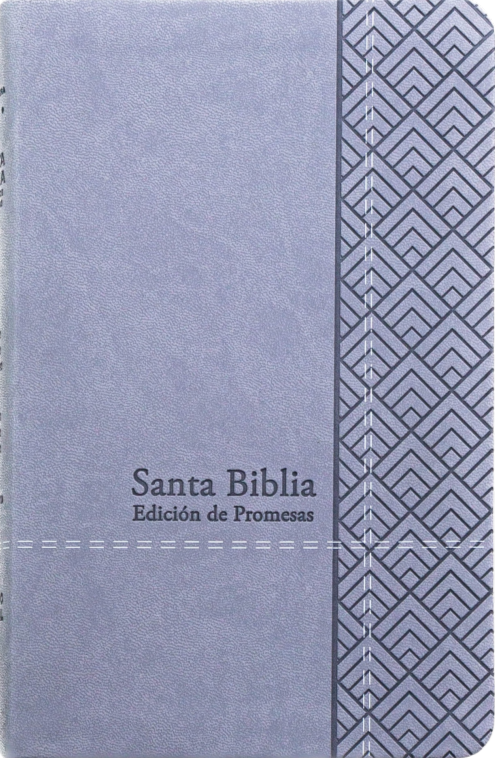 Biblia de Promesas RVR-1960, Letra Grande, Tamaño Manual, Piel especial, Gris claro