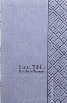 Santa Biblia de Promesas Reina-Valera 1960 / Tamaño Manual / Letra Grande / Piel Especial / Gris // Spanish Promise Bible RV60 / Handy Size / Large Print / Leathersoft / Gray