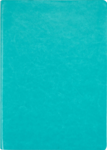 Biblia NVI, Letra Gigante, Piel Especial, Aguamarina
